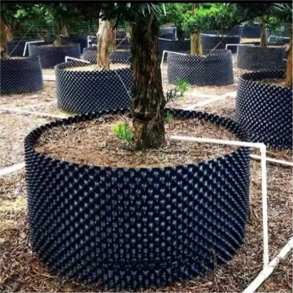 Vaso da Coltivazione per Bonsa - Nursery recensione e prezzo